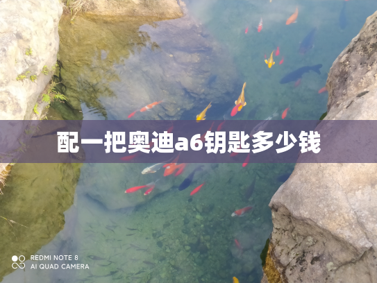 配一把奥迪a6钥匙多少钱