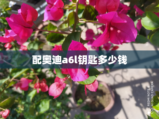配奥迪a6l钥匙多少钱