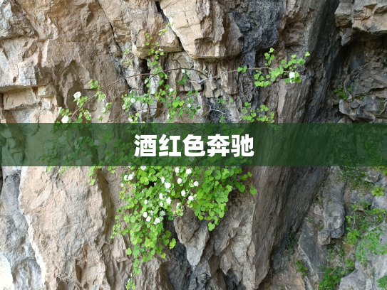 酒红色奔驰