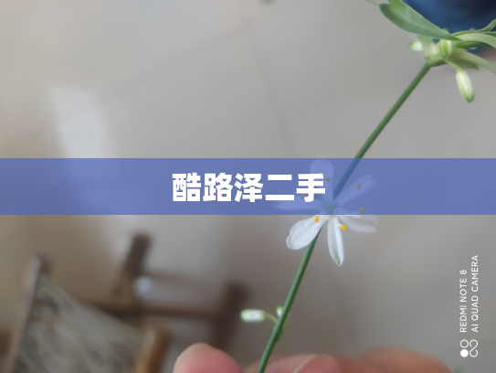 酷路泽二手
