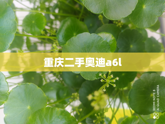 重庆二手奥迪a6l
