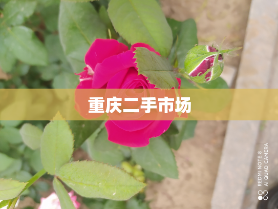 重庆二手市场