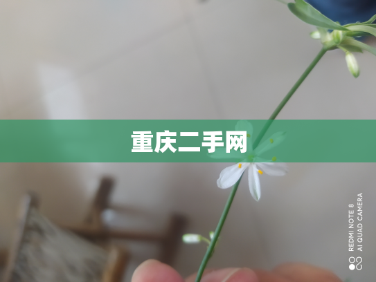 重庆二手网