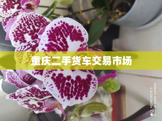 重庆二手货车交易市场