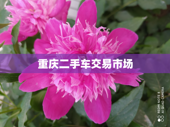 重庆二手车交易市场