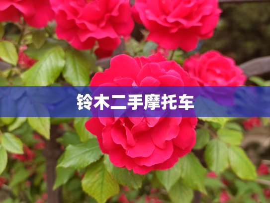 铃木二手摩托车