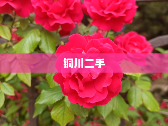 铜川二手