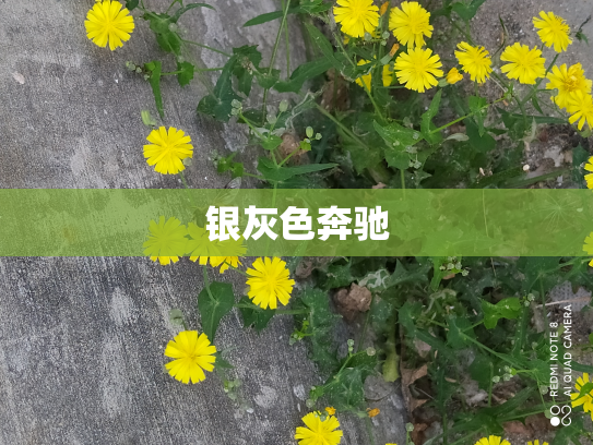 银灰色奔驰