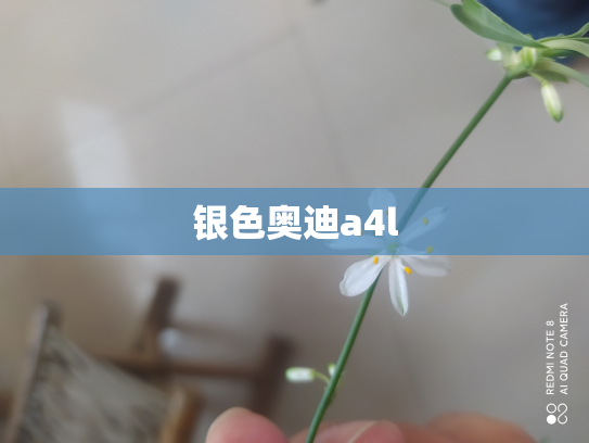 银色奥迪a4l