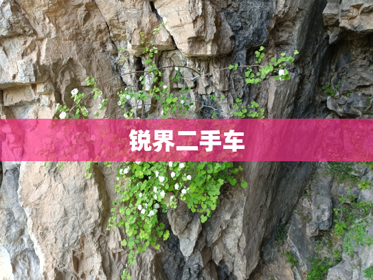 锐界二手车