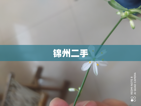 锦州二手