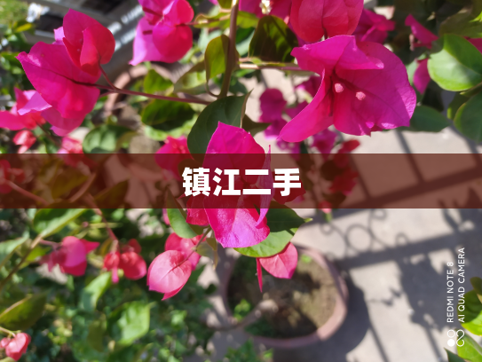 镇江二手