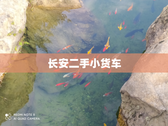 长安二手小货车
