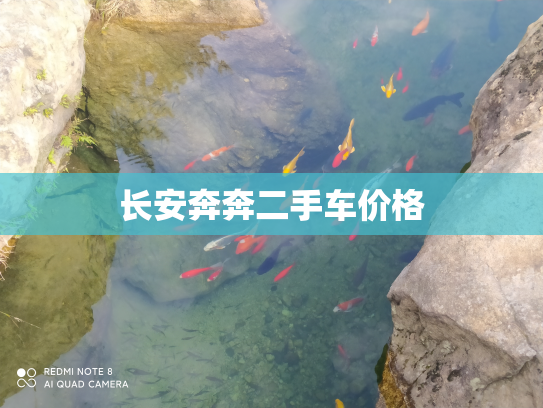长安奔奔二手车价格