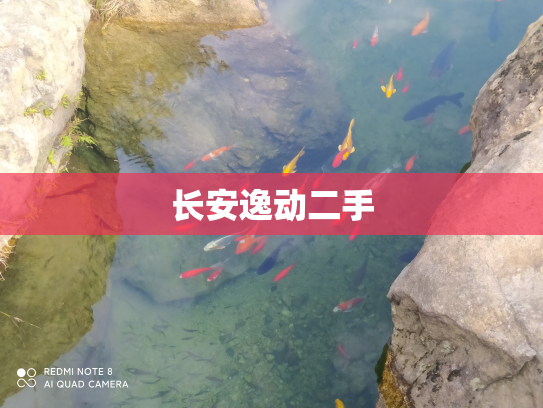 长安逸动二手