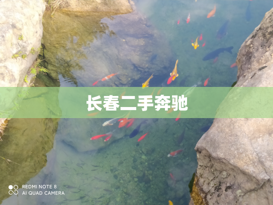 长春二手奔驰