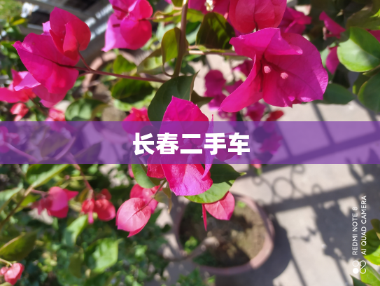 长春二手车