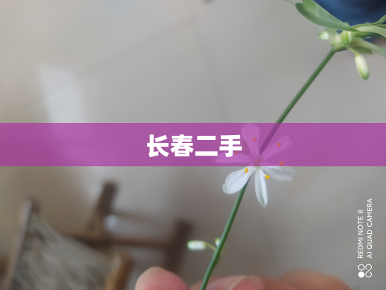 长春二手