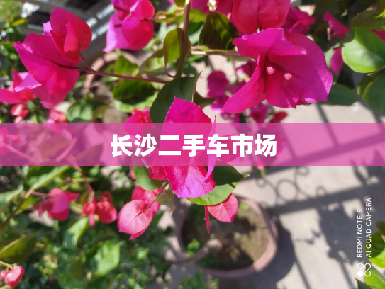 长沙二手车市场