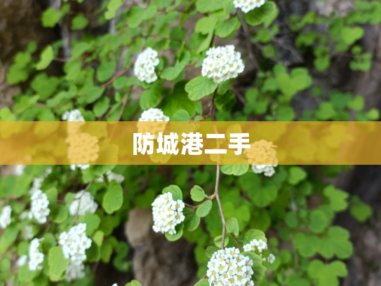 防城港二手