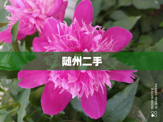随州二手