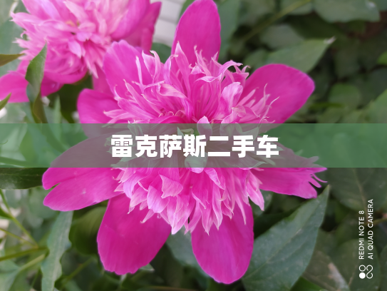 雷克萨斯二手车
