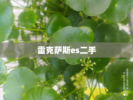 雷克萨斯es二手