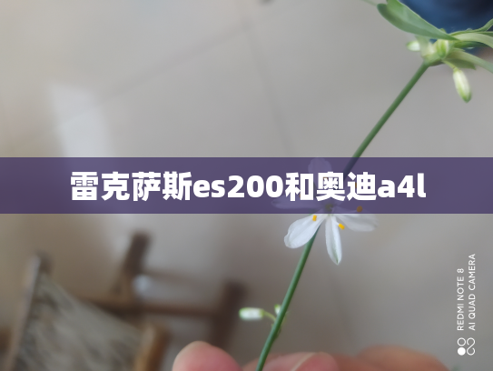 雷克萨斯es200和奥迪a4l