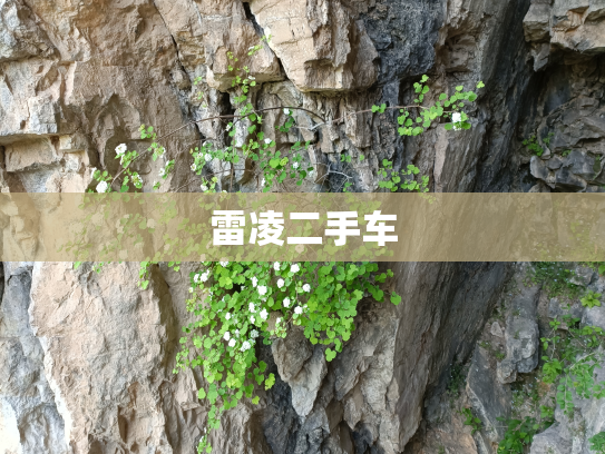 雷凌二手车