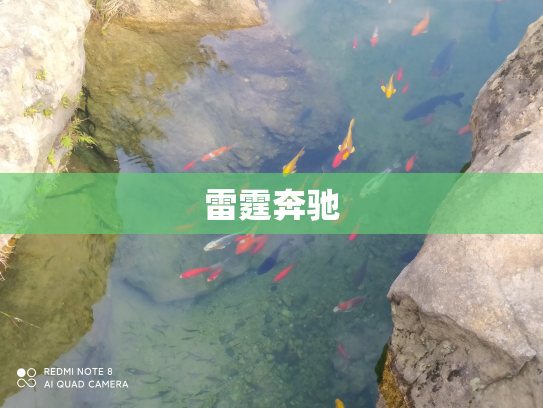 雷霆奔驰