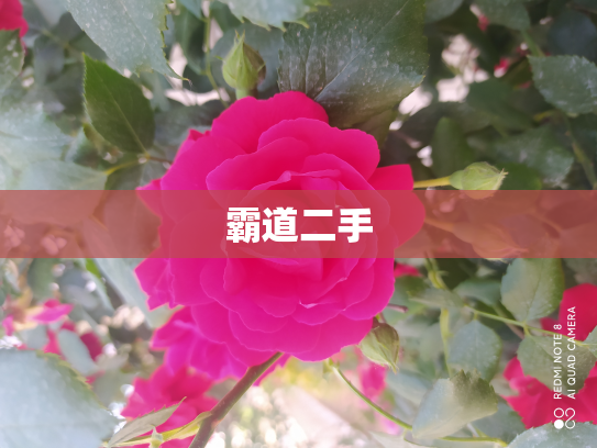霸道二手