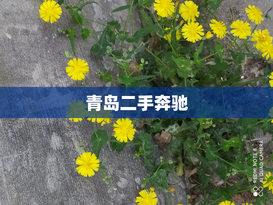青岛二手奔驰