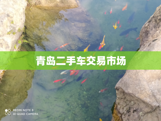 青岛二手车交易市场