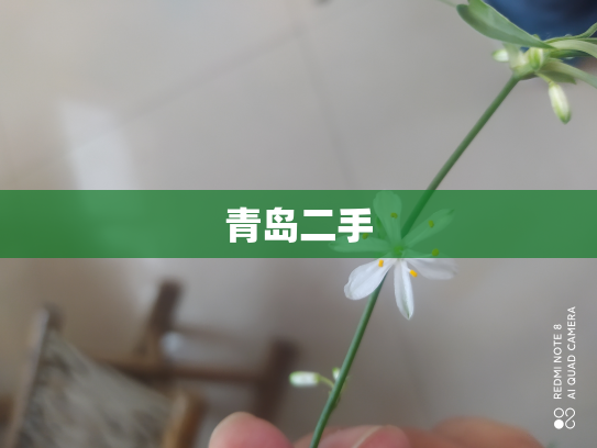 青岛二手