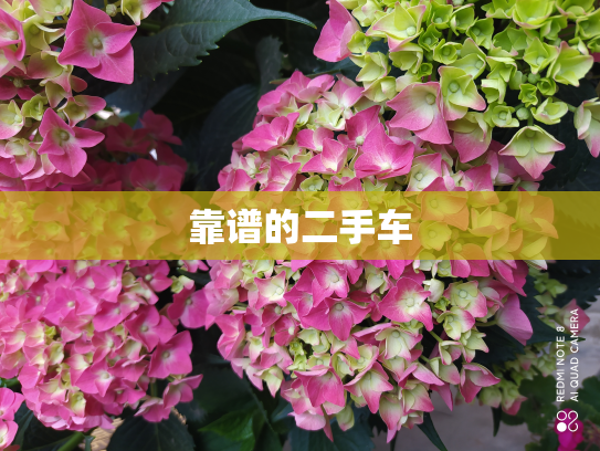 靠谱的二手车