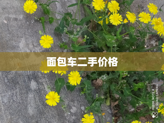 面包车二手价格