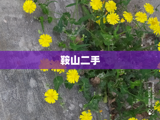 鞍山二手