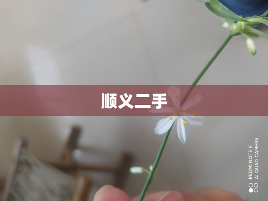 顺义二手