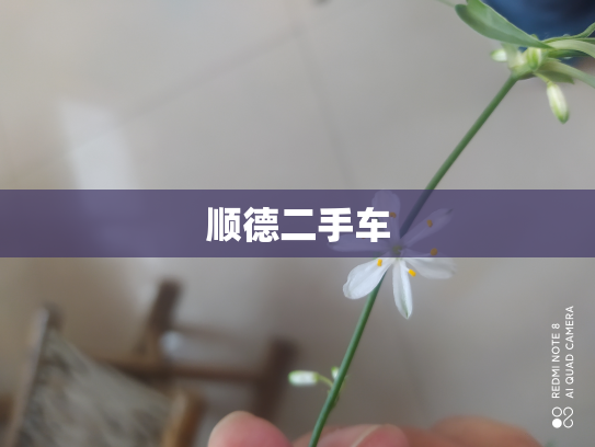 顺德二手车