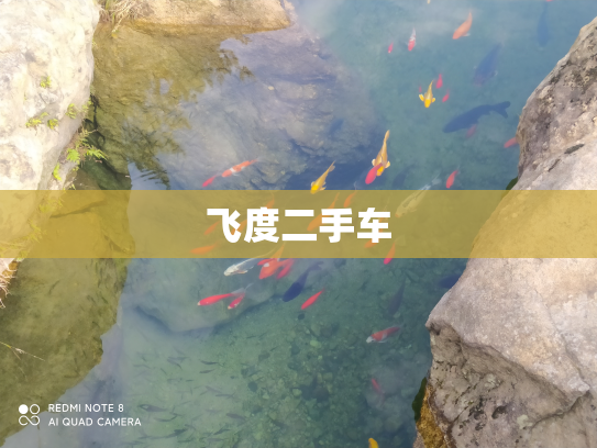 飞度二手车
