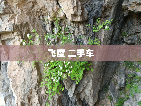 飞度 二手车