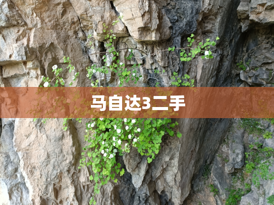 马自达3二手