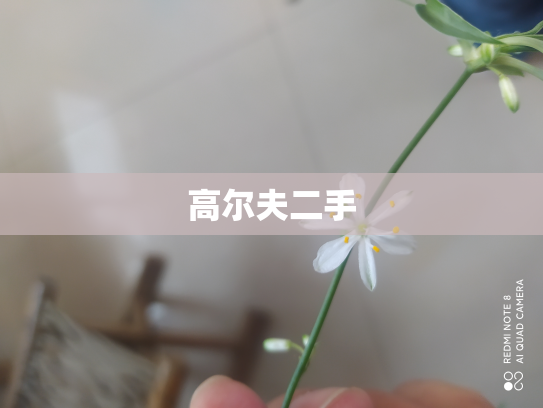 高尔夫二手