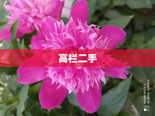 高栏二手