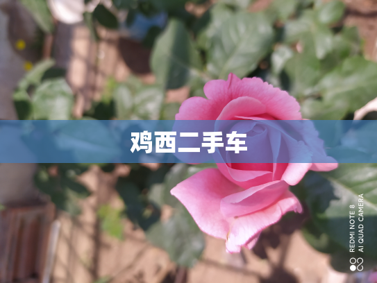 鸡西二手车