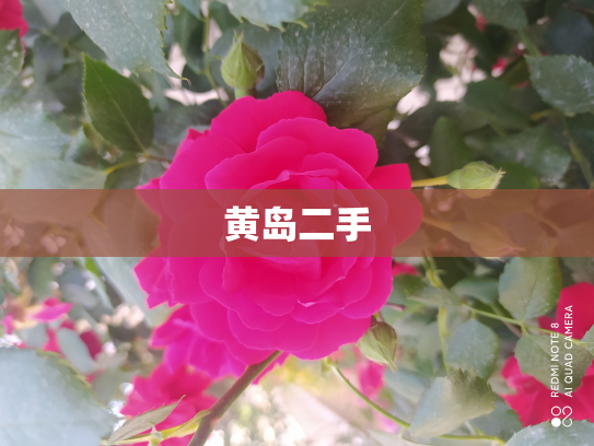 黄岛二手