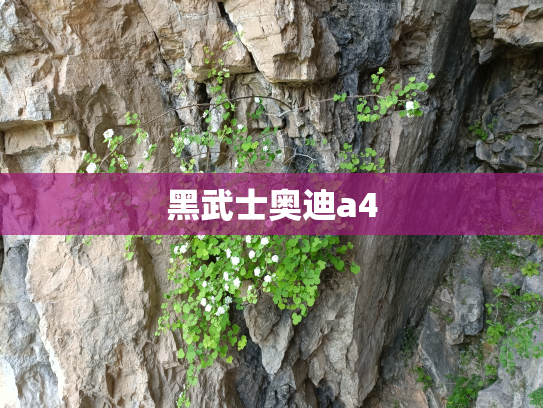 黑武士奥迪a4