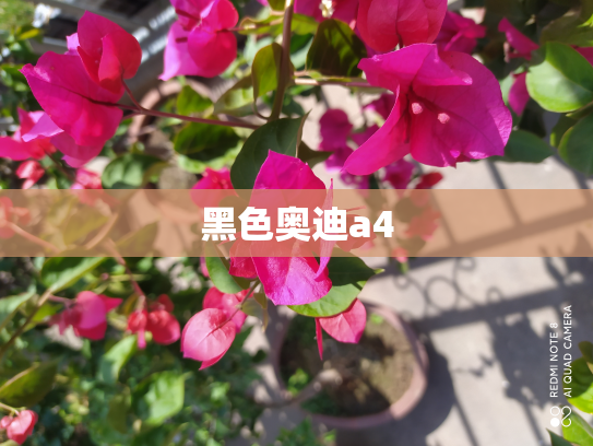 黑色奥迪a4