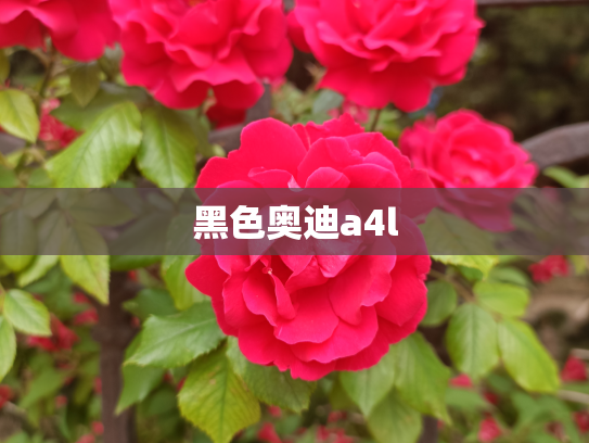 黑色奥迪a4l