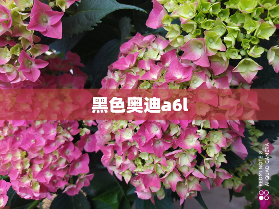 黑色奥迪a6l